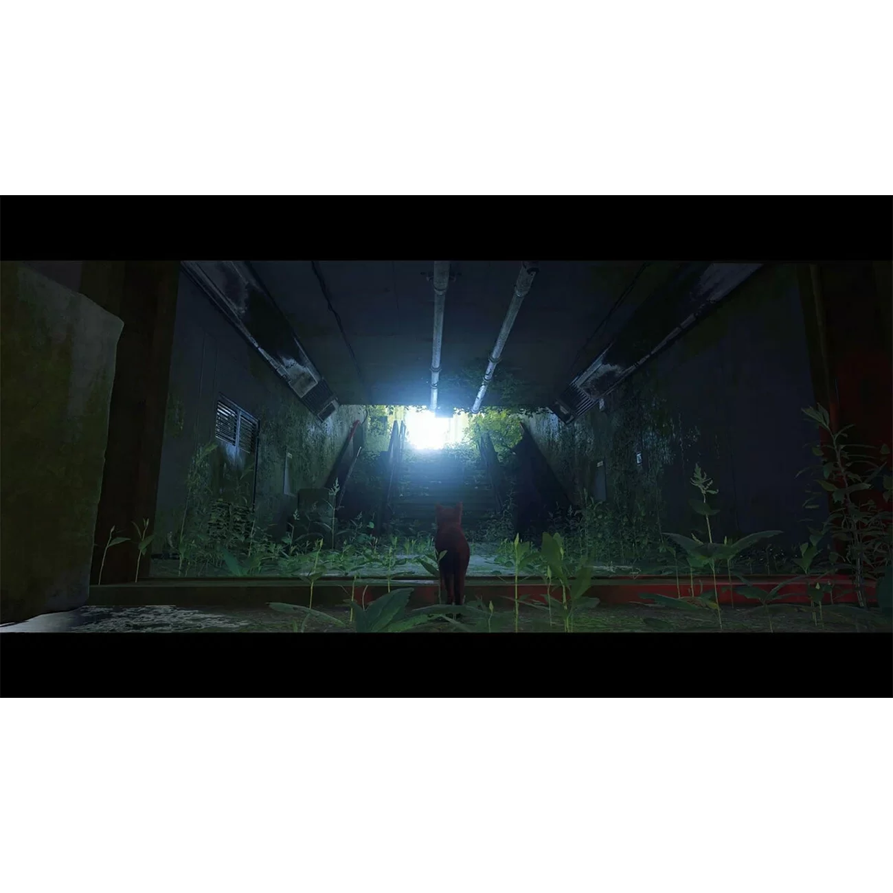 Игра: Stray для PS5 (диск, русские субтитры)