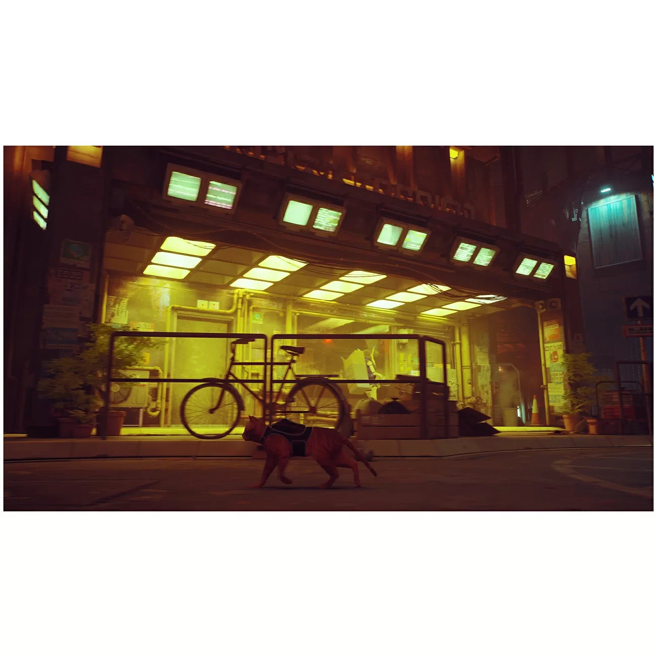 Игра: Stray для PS5 (диск, русские субтитры)