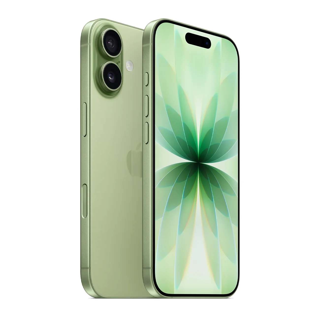 - Смартфон Apple iPhone 17, 256 ГБ, Sage (Зелёный) SIM+eSIM