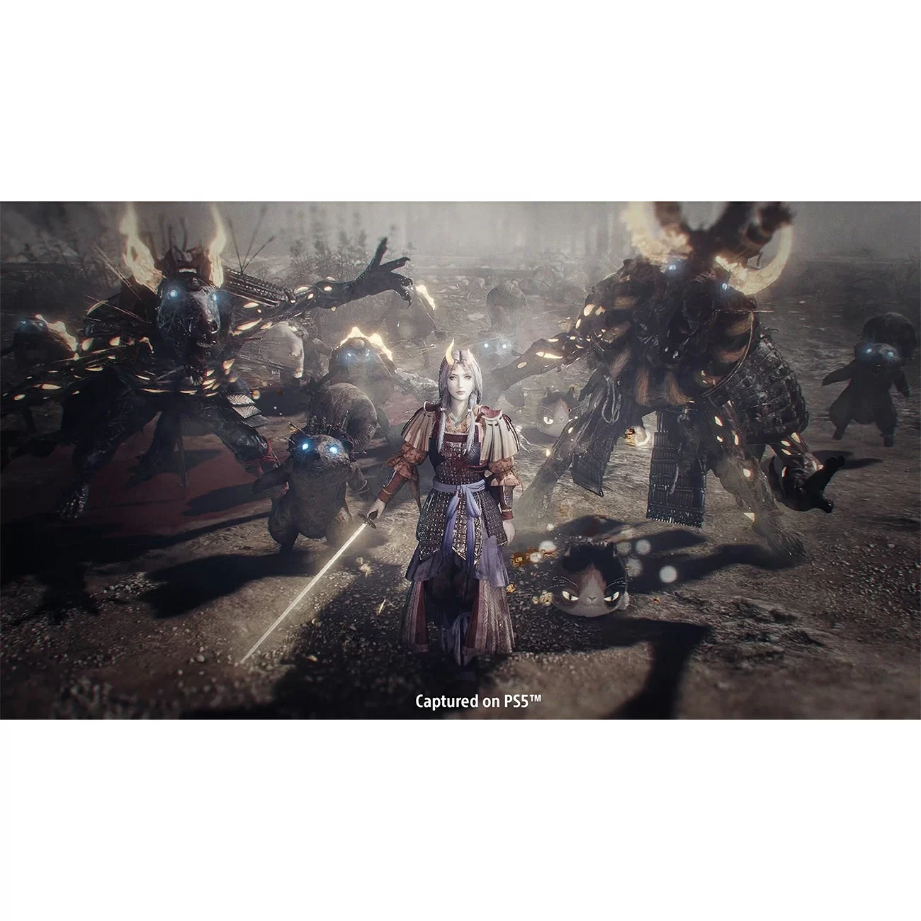 Игра: Nioh Collection (PS5, русские субтитры)