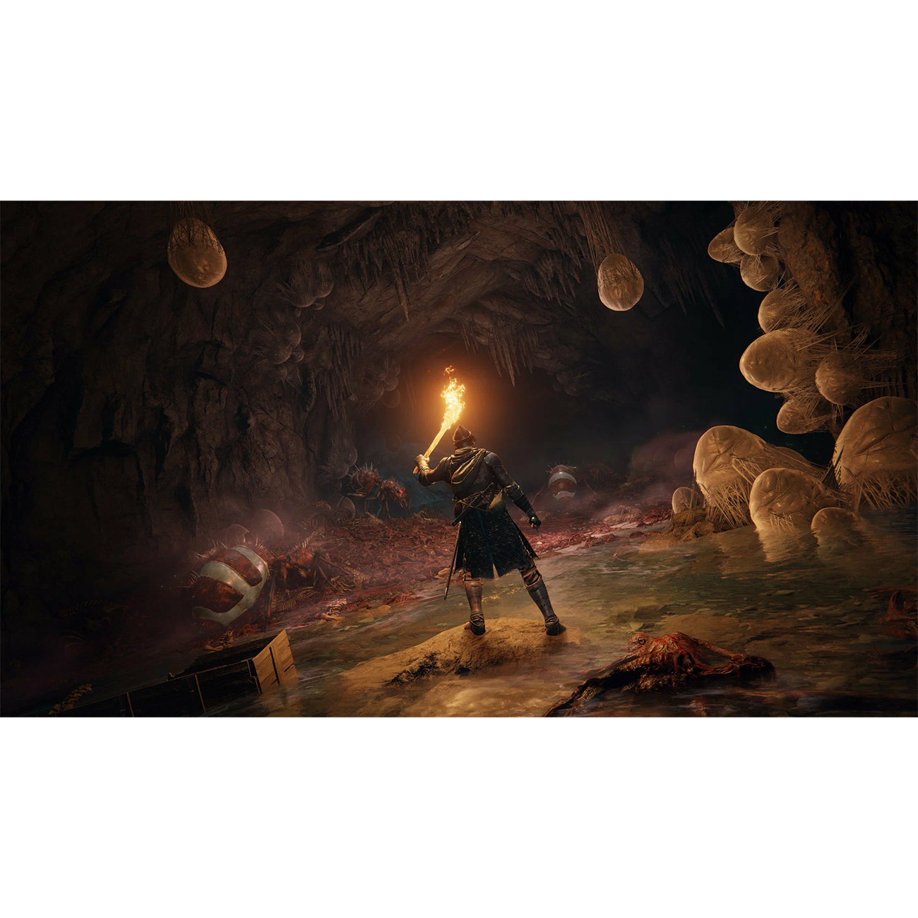 Игра: Elden Ring (PS5, русская версия)