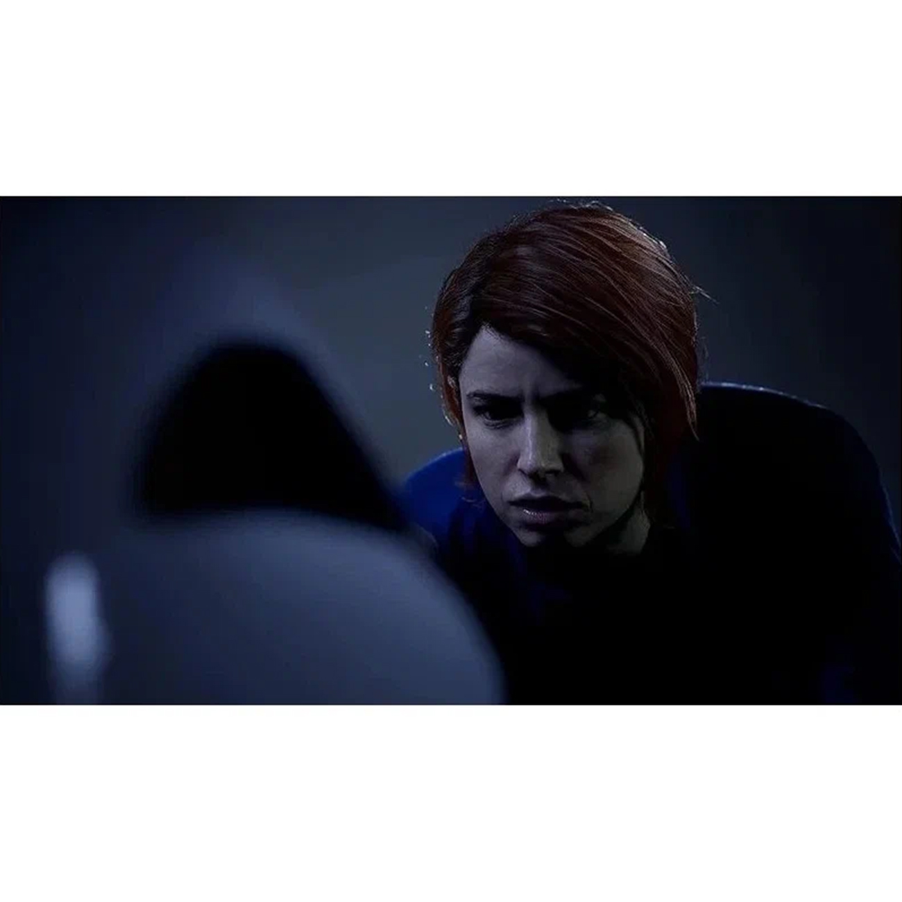 Игра: The Dark Pictures: The Devil in Me для PlayStation 5 (Русская версия)