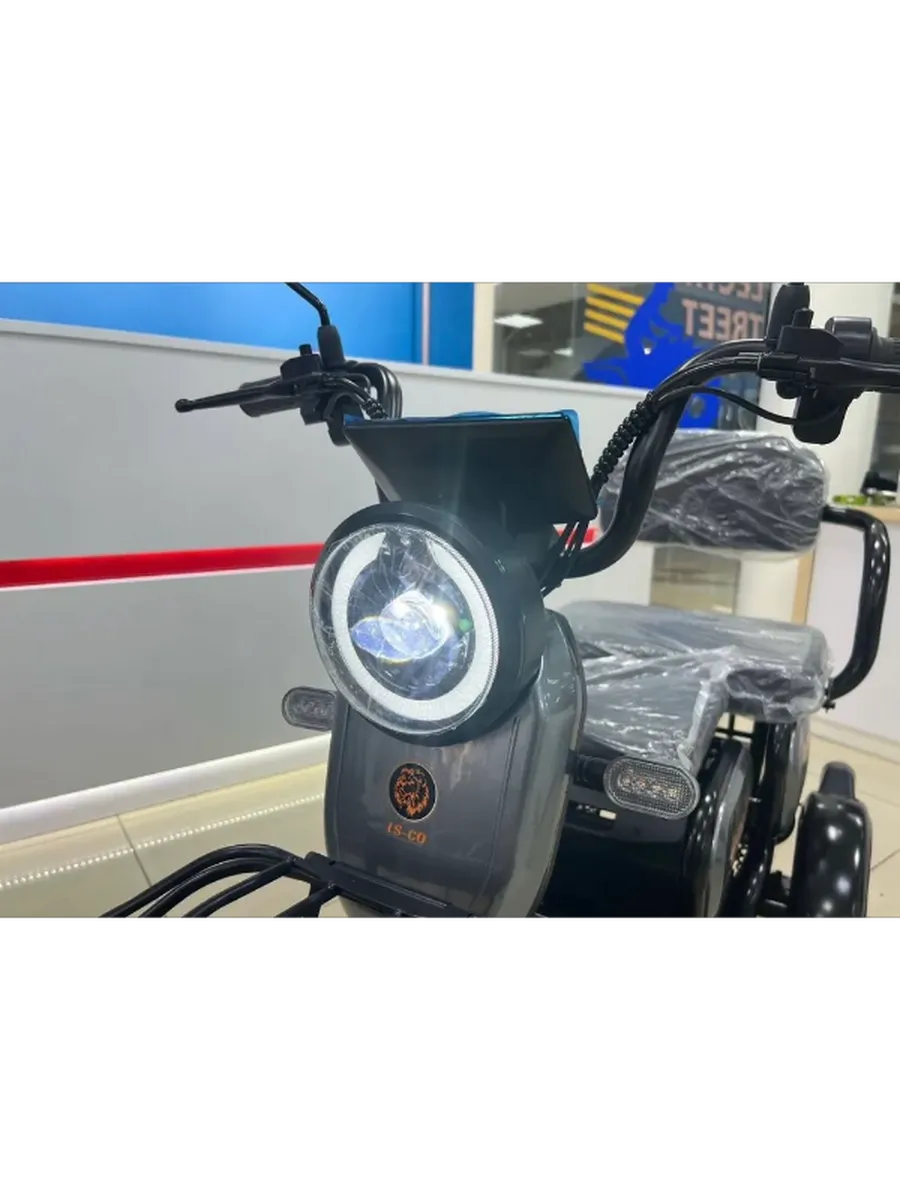 Электротрицикл LS CO A1 Электротрицикл LS CO A1